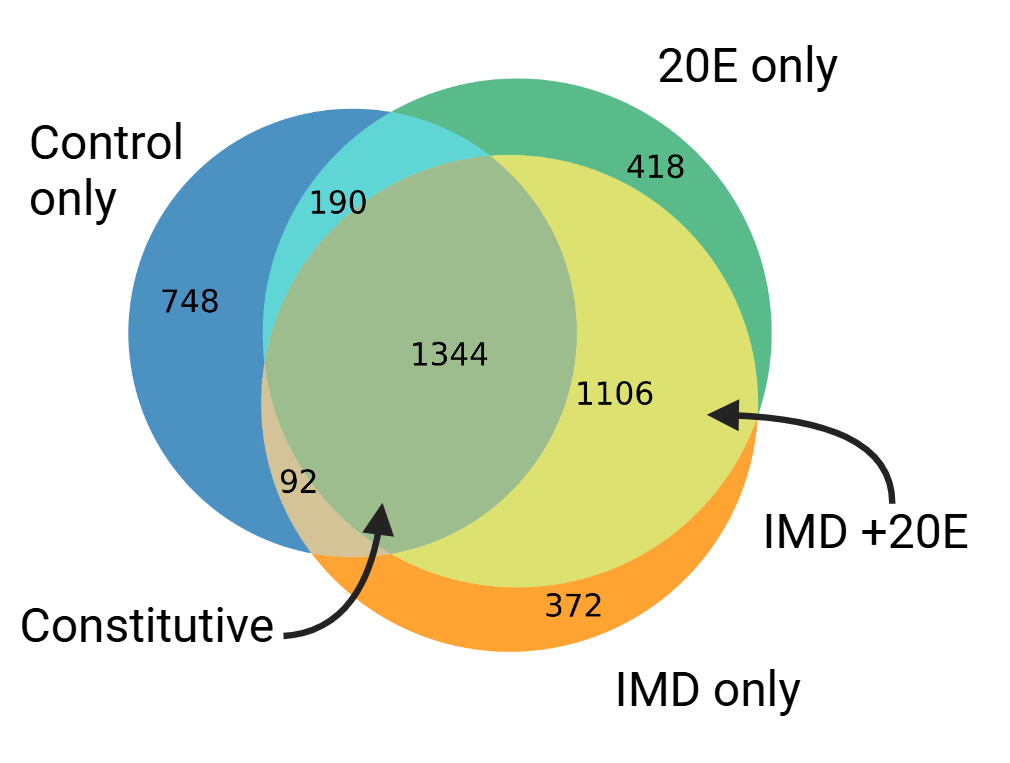 Venn Diagram showing enhancer activity class distribution