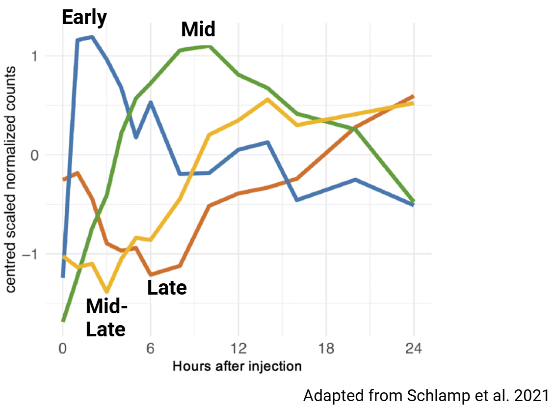 Mean expression of four main clusters of immune responsive genes across first 24 hrs post stimulus from Schlamp et al 2021